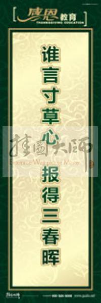 感恩宣傳標語 感恩標語 感恩教育標語 中學(xué)生感恩教育 誰言寸草心,報得三春暉