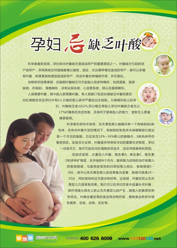 婦產(chǎn)科標語 孕婦忌缺乏葉酸