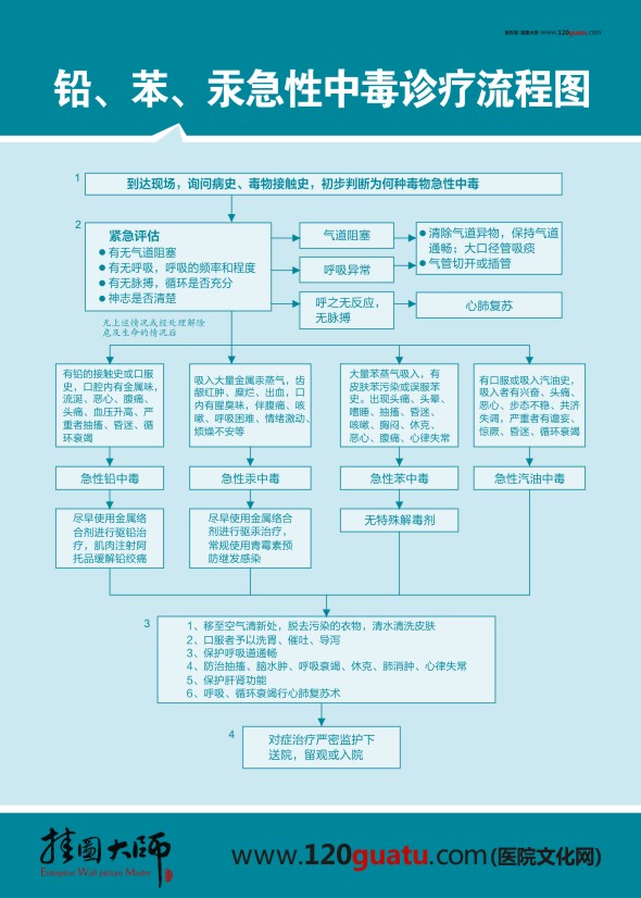 鉛、笨、汞急性中毒診療流程圖 醫(yī)院急救流程