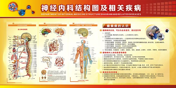 神經(jīng)內科圖片   醫(yī)院科室圖片     人體神經(jīng)結構圖