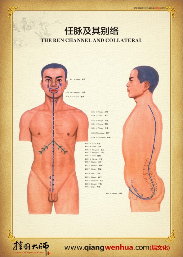任脈及其別脈 人體經脈穴位圖