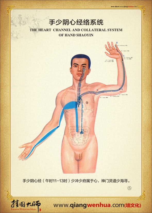 手少陰心經絡系統(tǒng)  人體經絡系統(tǒng)圖