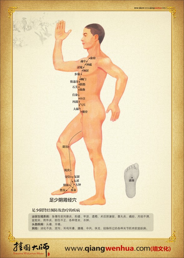 人體全身經(jīng)絡穴位圖 