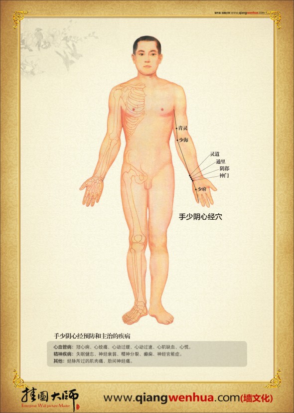 人體經(jīng)絡穴位圖